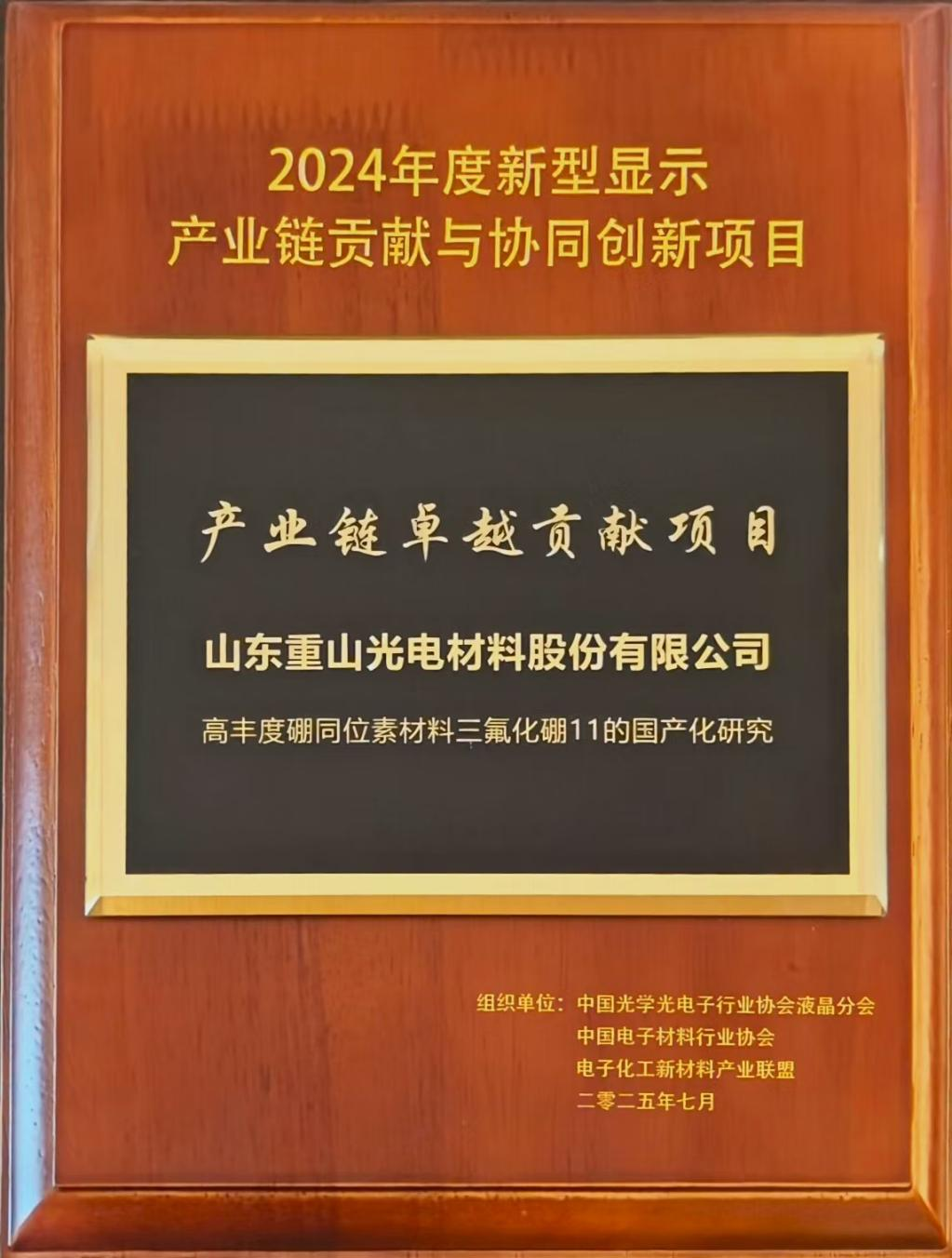 2024年度新型显示产业链卓越贡献与协同创新奖